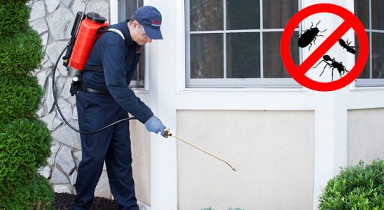 Koyulhisar Fare İlaçlama böcek ilaçlama ve haşere kontrolü — ilaclama-tr.com